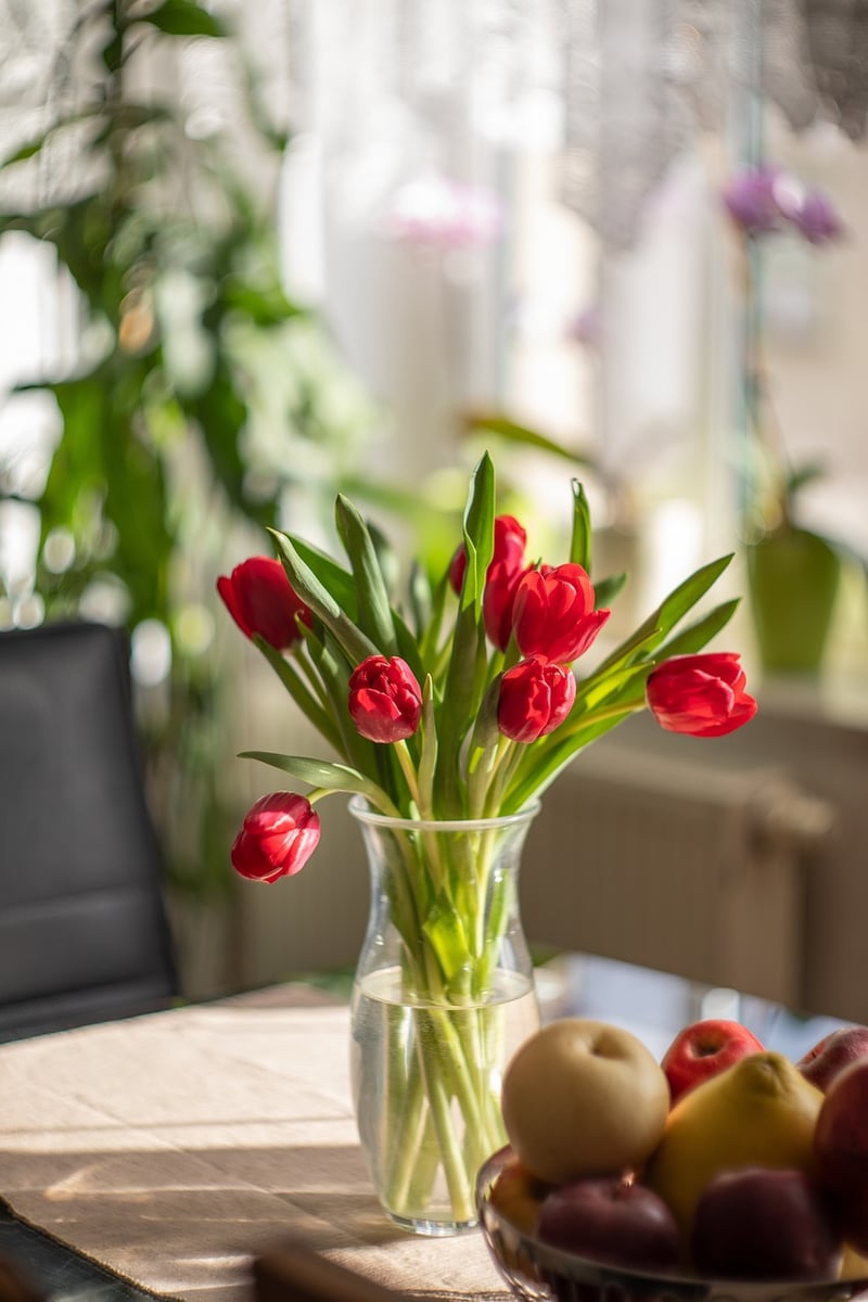 Home Decor Ideas
